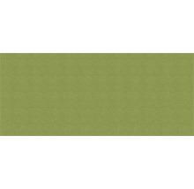 Grüne textile Oberfläche für Wandgestaltung