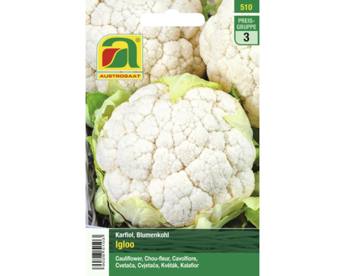 Gemüsesamen Austrosaat Karfiol Igloo' Blumenkohlsamen der Sorte Igloo
