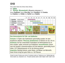 Anleitung zum Anbau von Igloo Karfiol, inklusive Vorkultur, Pflanzung, Direktsaat und Erntezeiten