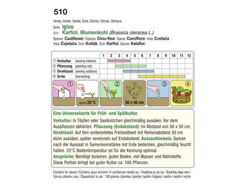Anleitung zum Anbau von Igloo Karfiol, inklusive Vorkultur, Pflanzung, Direktsaat und Erntezeiten