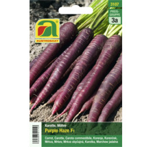 Samenpackung Purple Haze F1 Karotten von Austro saat