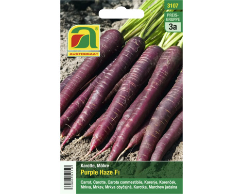 Samenpackung Purple Haze F1 Karotten von Austro saat