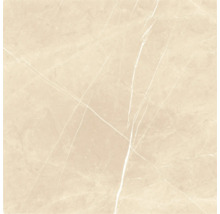 Fliese mit Marmorstruktur für Wand und Boden