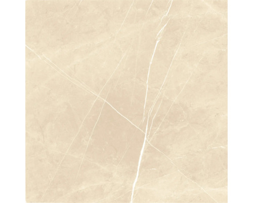 Fliese mit Marmorstruktur für Wand und Boden