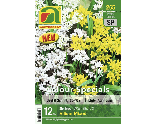 Austro-Saat Blumenzwiebeln Zierlauch Allium Mixed