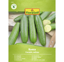 Salatgurke der Sorte Konsa, Cucumis sativus, von FloraSelf