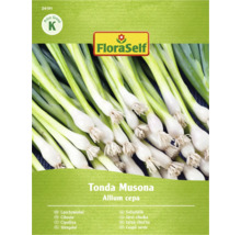 FloraSelf Lauchzwiebel Tonda Musona Samenpackung