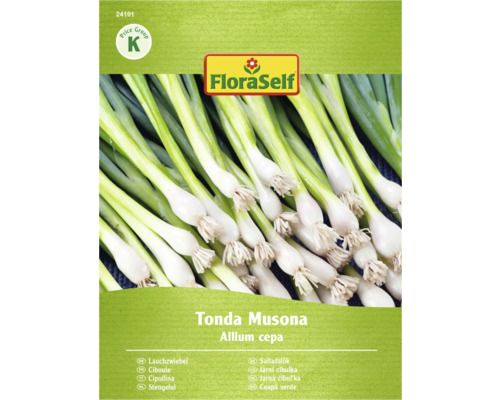 FloraSelf Lauchzwiebel Tonda Musona Samenpackung