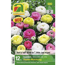 Packung Ranunkeln, Pastellmischung, für Beet und Topf