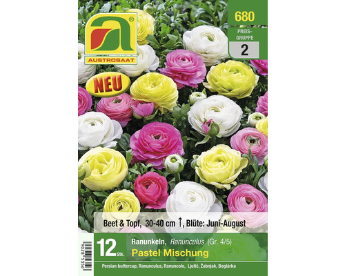 Packung Ranunkeln, Pastellmischung, für Beet und Topf