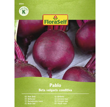 FloraSelf Rote Bete Samen Pablo