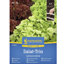 Kiepenkerl Salat Trio Samenpackung