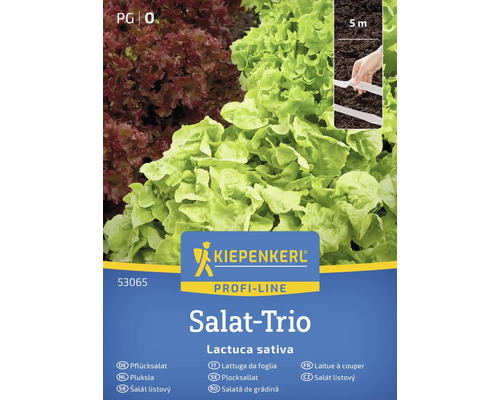 Kiepenkerl Salat Trio Samenpackung