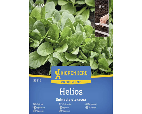 Kiepenkerl Profi-Line Helios Spinat Samenpackung