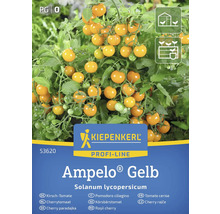 Kiepenkerl Ampelo Gelb Cherrytomaten-Samenpackung