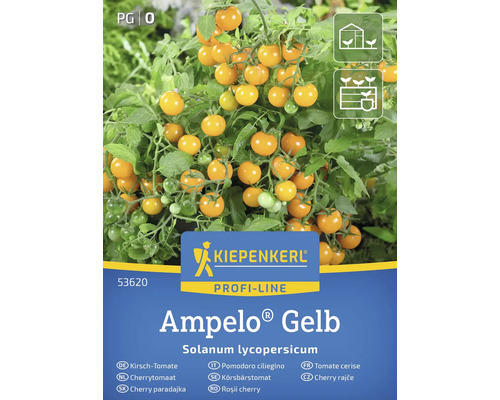 Kiepenkerl Ampelo Gelb Cherrytomaten-Samenpackung