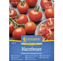Kiepenkerl Harzfeuer Salattomaten Samenpackung