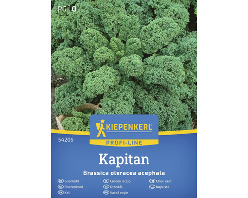Kiepenkerl Kapitan Grünkohl Samenpackung
