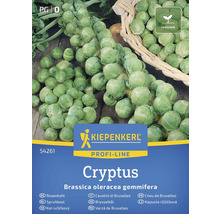 Kiepenkerl Cryptus Rosenkohl-Samen