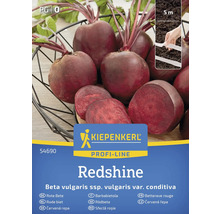 Kiepenkerl Redshine Rote Rüben Samen