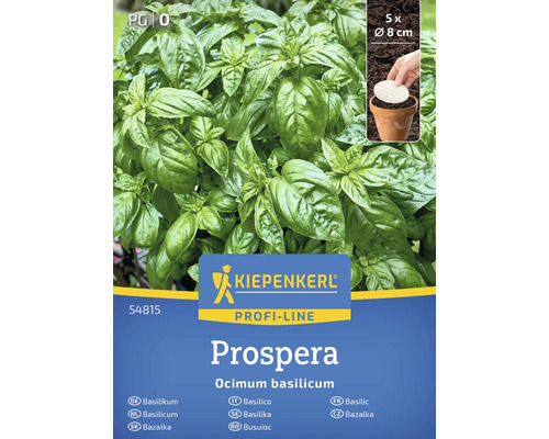 Kiepenkerl Prospera Basilikum Pflanzenpackung mit fünf Pflanzen