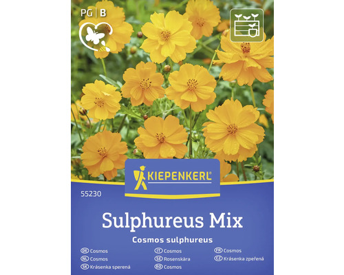 Kiepenkerl Schwefel-Kosmee Sulphureus Mix Samenpackung