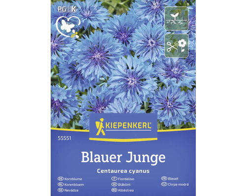Kornblumen-Samenpackung der Marke Kiepenkerl, Sorte Blauer Junge