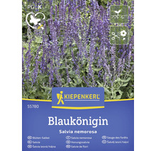Blüten Salbei Samenpackung
