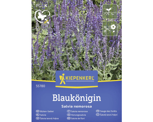 Blüten Salbei Samenpackung