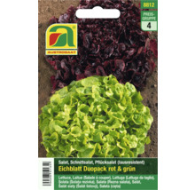 Austrosaat Eichblatt Duopack Salat rot und grün
