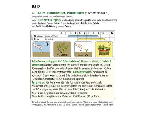 Informationen zu Salat, Schnittsalat und Pflücksalat mit Aussaat- und Erntehinweisen