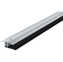 Türdichtungsprofil aus Aluminium und Gummi