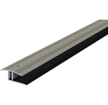 Übergangsprofil aus Aluminium mit Dichtung