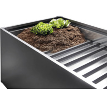 Hochbeet mit Erde und Salatpflanzen