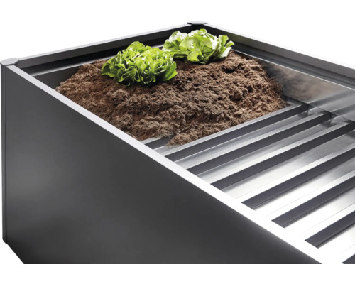 Hochbeet mit Erde und Salatpflanzen