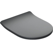 Toilettendeckel aus Kunststoff