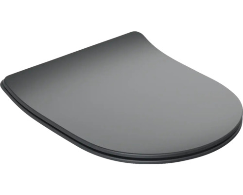 Toilettendeckel aus Kunststoff
