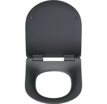 Toilettensitz mit Deckel