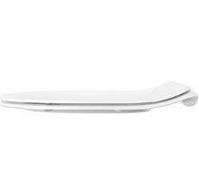 Toilettendeckel aus Kunststoff