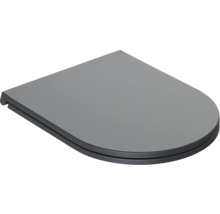 Toilettendeckel aus Kunststoff