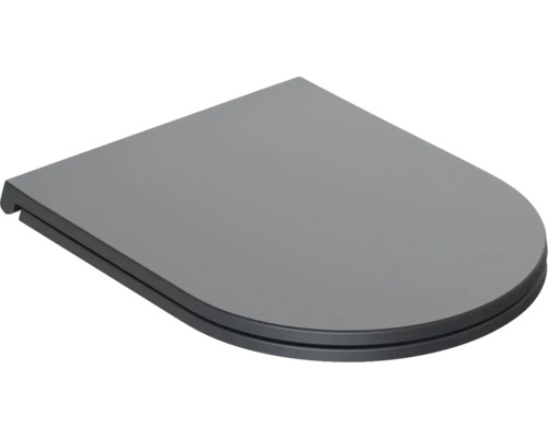 Toilettendeckel aus Kunststoff