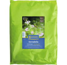 Serradella Gründünger im Vorteilspack von Kiepenkerl, ausreichend für circa 200 Quadratmeter, 1 Kilogramm