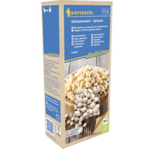 Kiepenkerl Keimsprossen Sprossen, Bio-Samen zur Anzucht von Keimsprossen, Kichererbsen