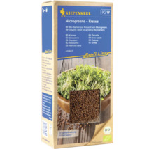 Kiepenkerl Microgreens Kresse Samenpackung