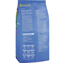 Kiepenkerl Blumensamenmischung für eine naturnahe Blumenwiese mit Kräutern und Gräsern