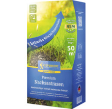 Kiepenkerl Premium Nachsaatrasen Packung für die Rasenerneuerung