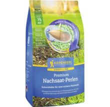 Kiepenkerl Premium Nachsaat-Perlen Packung für die Rasenerneuerung