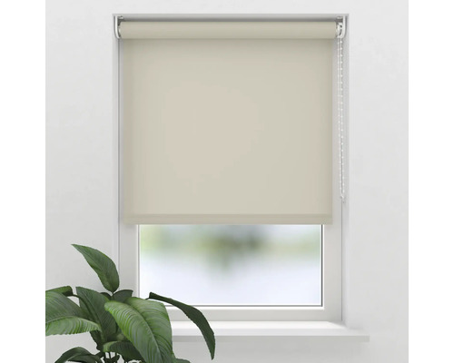 Fenster mit Rollo zur Lichtsteuerung