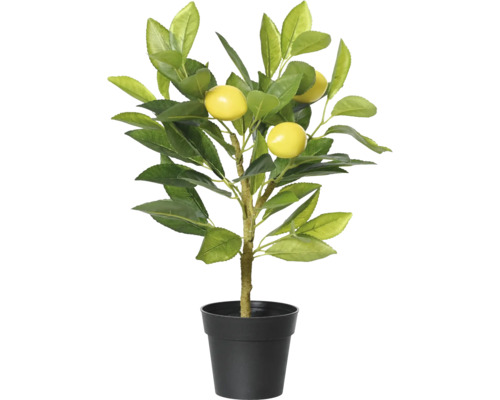 Künstlicher Zitronenbaum im schwarzen Topf
