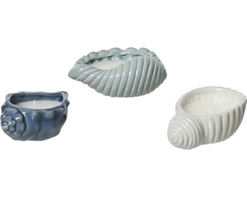 Drei dekorative Kerzen in Muschelform